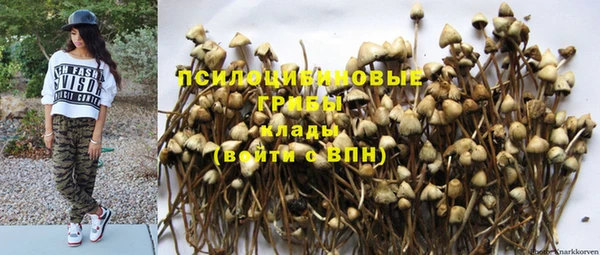 мдпв Волосово