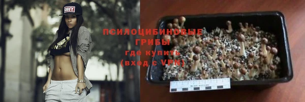мдпв Волосово
