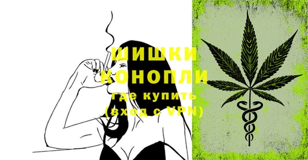 мдпв Волосово