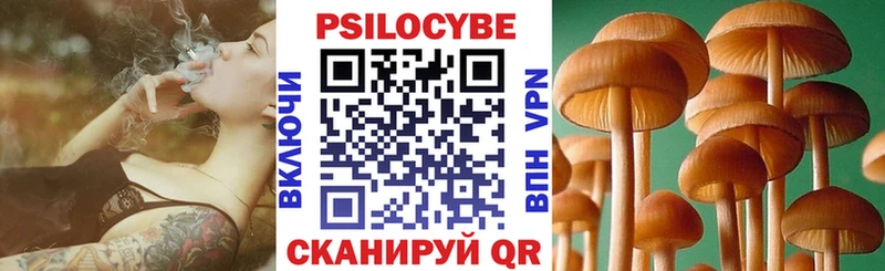Псилоцибиновые грибы Psilocybe купить закладку Дедовск